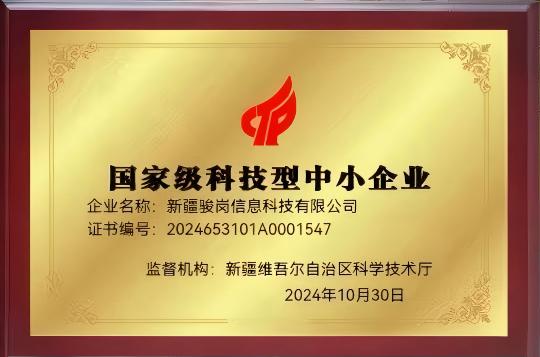 国家级科技型中小企业